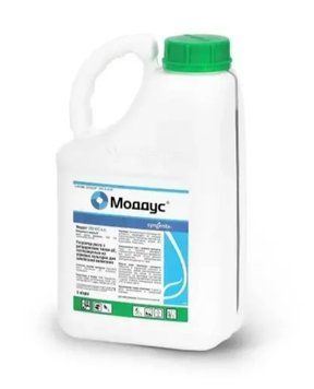 Syngenta Моддус Регулятор росту 10305 фото