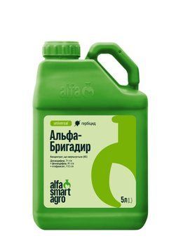 Гербіцид Альфа-Бригадир 5л Десмедифам + Фенмедифам + Етофумезат 777001 фото