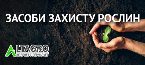 Banner from design