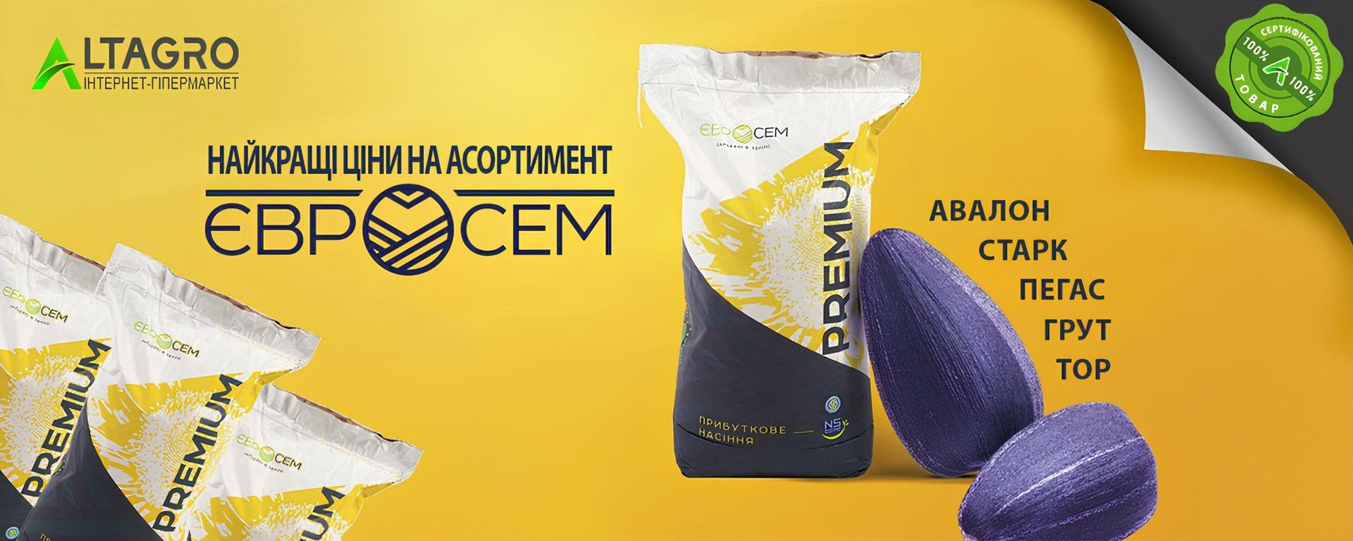 Banner from design evrosem